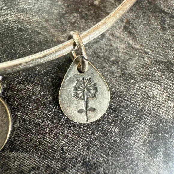 Alex and Ani Apple Charm Bracelet Silver Nature Expandable Bangle - Picture 8 of 14